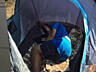 Палаткa на 2-3 человека быстрооткрывающаяся автоматическая для отдыха