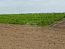Se oferă spre vânzare teren agricol, 4.88 ha, municipiul Chișinău, ...