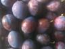 Продам виноград Молдова в ящиках, сливу Президент