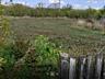 Продам дом и участок в с. Брезоя, Молдова