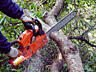 Спиливание деревьев недорого и самовывоз