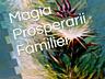 Magia Prosperării Familiei. Volum 2 - Autor Iulia Jilinschi
