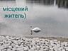продаж 2-к квартира Обухівський, Підгірці, 159000 $
