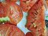 Продам редкие семена сортовых томатов