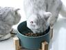 Миски керамическая для собак и кошек