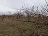 Teren agricol 83 ari, cu casa de vacanta, 17km de la Chisinau