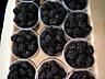 Продам саженцы малины ежевики ежемалины марамбелы орех клубника цветы