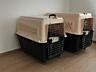 Транспортировочная переноска для собак и кошек 48х32х30 см