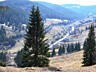 Teren la varf de munte in Bucovina