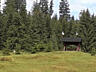 Teren la varf de munte in Bucovina