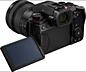 Panasonic Lumix DC-S5 II + Lumix S 20-60mm F/3.5-5.6 + Lumix S 50mm F/