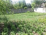 Продам дом в Арцизе (Одесская обл.)