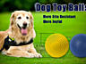 Интерактивный мяч TIHOPAR Dog Toys