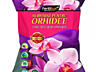 Fertilizatori pentru orchidee