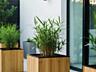 Перегородки-кашпо любой сложности для зонирования кафе; офиса; салона