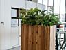Перегородки-кашпо любой сложности для зонирования кафе; офиса; салона