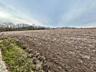 Se vînd 2 case + teren 2 hectare, la DOAR 15 km de orașul FĂLEȘTI!