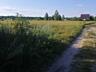 продаж ділянка під житлову забудову Вишгородський, Ровжі, 6999 $