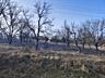 Întrarea Orhei. Afacere de perspectivă. Lot 252 ar agricol. 1200 E/ar