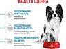 Сухой корм для щенков мелких пород Royal Canin X-Small Puppy