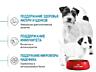 Сухой корм для щенков Royal Canin Starter mini