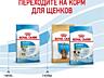 Сухой корм для щенков Royal Canin Starter mini