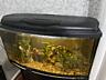 Продается аквариум!
