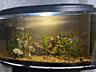 Продается аквариум!