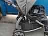 детская коляска CRACO Торг