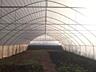Продам теплицу