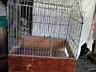 Продам клетки