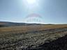 Teren Agricol de Vânzare (Extravilan, 182 Ari) –în mun. Chișinău, or. 
