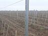 Виноградные (шпалерные) столбы из оцинкованной стали.