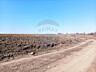 Teren Agricol de Vânzare - 162 Ari în or. Singera, Extravilan