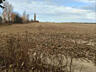 продаж ділянка сільськогосподарського призначення Бучанський, Наливайк
