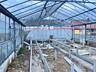 Продается большая теплица/ангар — 500 кв. м, оцинкованный металл!