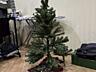 Продам елку