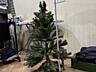 Продам елку