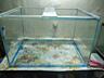 Продам два аквариума