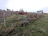 Teren de constructie – 12 ari, oportunitate de investitie, Todiresti, 