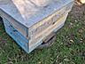 Улей для пчёл