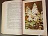 Антикварная книга Г. Киселев. Цветоводство. (Москва, 1953г. )