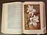 Антикварная книга Г. Киселев. Цветоводство. (Москва, 1953г. )