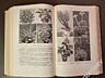 Антикварная книга Г. Киселев. Цветоводство. (Москва, 1953г. )
