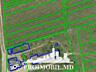 Se oferă spre vânzare teren agricol situat în Colonița, cu suprafața .