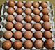 Домашние куриные яйца