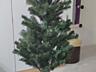 Ёлка. 150 см. - 500 руб