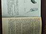 Ваши друзья Волнистые попугаи. Руководство по содержанию попугаев..
