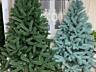 Елки искусственные новогодние на любой вкус