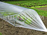 Полиэтиленовая пленка. Прозрачная, черная, зеленая тепличная анти УФ.